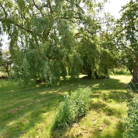 Spacious Holiday Home In Hornstorf With Trampoline Luaran gambar