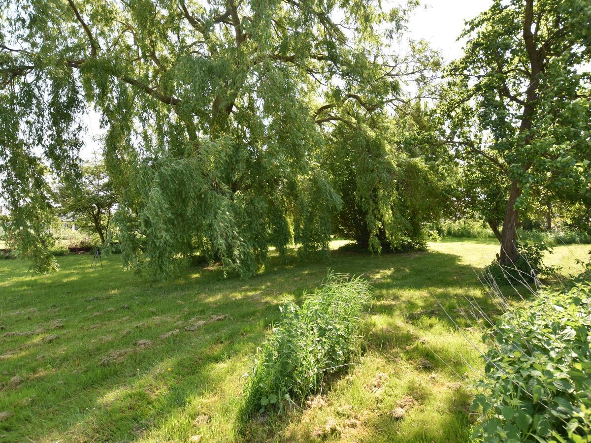 Spacious Holiday Home In Hornstorf With Trampoline Luaran gambar